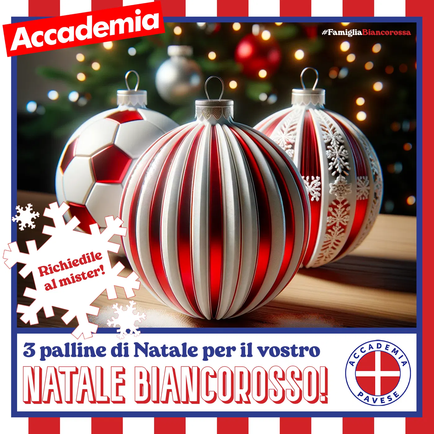 Accademia Pavese: Le palline del Natale biancorosso — 2023